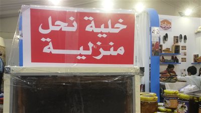 تربية النحل في المنزل.. أحدث تطورات العلم في معرض ديارنا بالأقصر