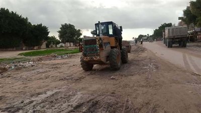 حي العامرية بالإسكندرية يواصل رفع المخلفات