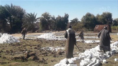 ضمن الموجة الـ 22.. إزالة 23 حالة بناء مخالف بأسوان (صور)