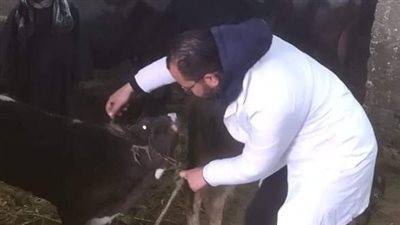 عقد 54 ندوة إرشادية وزيارات للمنازل بقرى مدن وأحياء الجيزة