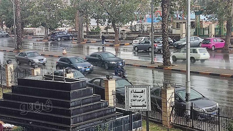حالة الطقس غدا، فيتو