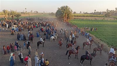 بالمزمار البلدي، مظاهر احتفالات الليلة الختامية لمولد الإدريسي بالأقصر (بث مباشر)