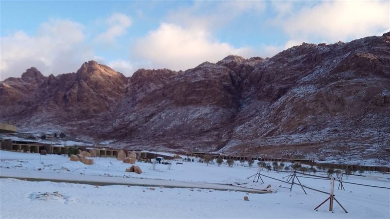 حالة الطقس غدا، فيتو