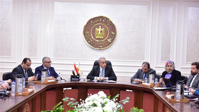 حسن شحاتة وزير العمل،