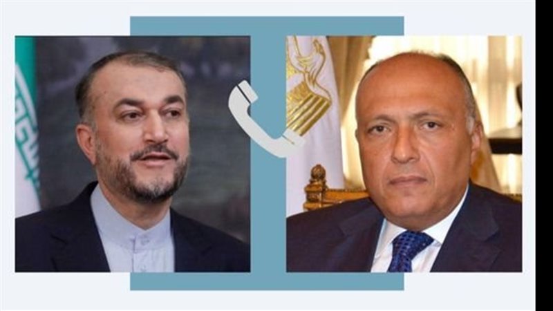 سامح شكري وعبد اللهيان،