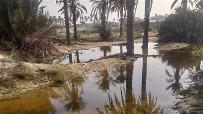 منعا لتكرار كارثة سد درنة، خبير مصري يقدم 5 حلول لمعالجة أزمة المياه الجوفية في زليتن الليبية