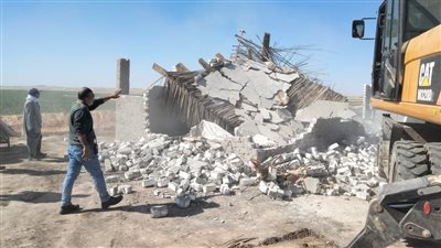 إزالة 49 حالة تعد على أراضي زراعية بـ3 مراكز بأسيوط