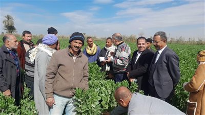 645 باحثا ومرشدا يشاركون في الفرق الإرشادية الريفية في 21 محافظة 