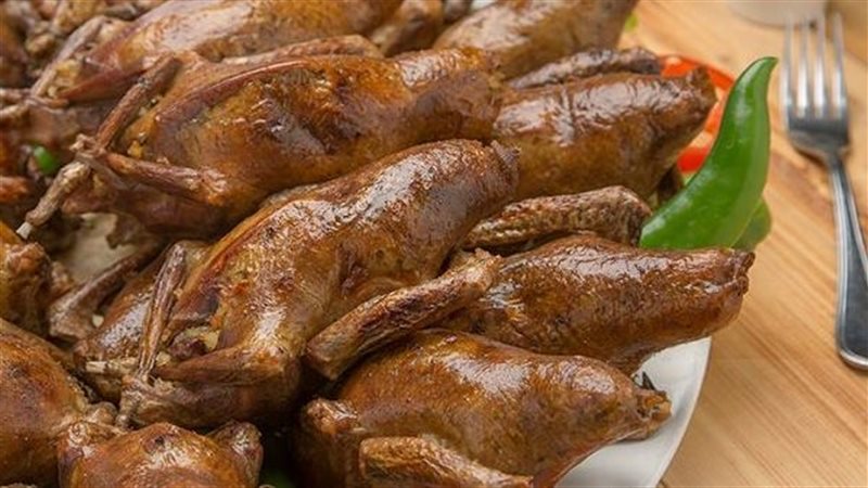 الحمام المحشي، فيتو