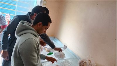 إعدام أغذية وتحرير محاضر في حملات صحية بالدقهلية