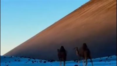 درجة الحرارة 4 تحت الصفر، الصقيع يغطي حرة العيص في المدينة المنورة (فيديو)