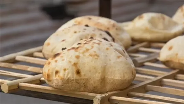 غدا، تطبيق الأسعار الجديدة لـ الخبز السياحي والفينو بتخفيضات تصل لـ 45 %