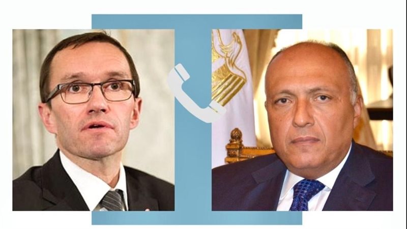 سامح شكرى وزير الخارجية