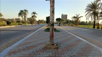 الأقصر خالية من الحوادث وتواجد دائم لشرطة المرور لتحسين تدفق الحركة المرورية