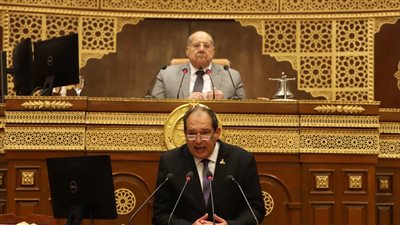 رئيس الشيوخ: دورنا إزالة أي عقبات تشريعية لمساندة الأجهزة التنفيذية 