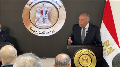 الخارجية: هناك توتر في علاقاتنا مع إسرائيل ومصر غير راضية عما يحدث للشعب الفلسطيني