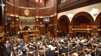 الشيوخ يحيل طلب مناقشة تعزيز الصادرات الزراعية للجان المختصة 