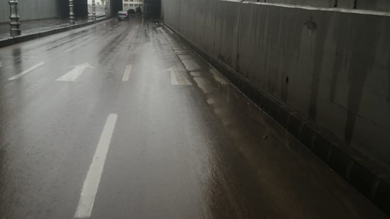 الإسكندرية، فيتو