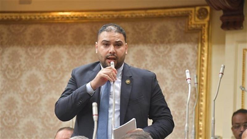 النائب  إبراهيم الديب،فيتو