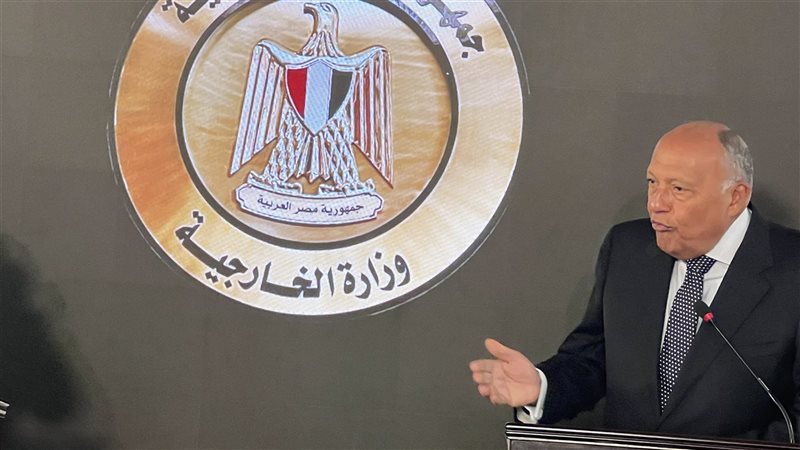 سامح شكرى وزير الخارجية،
