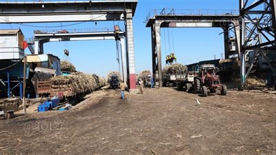 جولة تفقدية لوزير التموين بمصنعي السكر والورق بقوص في قنا 