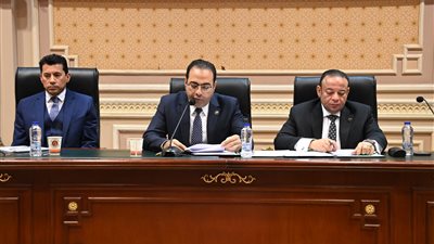  بعد تكليفات السيسي، رئيس شباب النواب: قانون الرياضة على رأس أولوياتنا