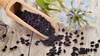 فوائد حبة البركة، تعالج نزلات البرد والأنفلونزا والسرطان وتفتت حصوات الكلى 