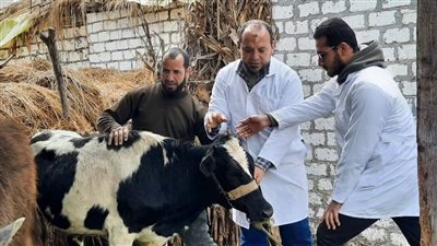 تقديم خدمات طبية بمختلف التخصصات لـ700 مواطن بقافلتين في البحيرة 