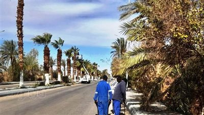 تكثيف أعمال النظافة بمدينتي أسوان وأبو سمبل (صور)
