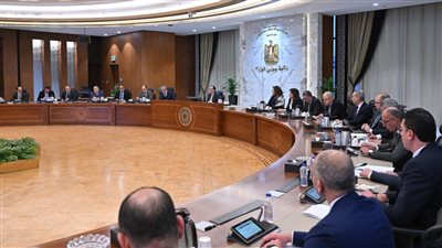 مدبولي: انخفاض أسعار العملة الصعبة في السوق السوداء وراء تراجع أسعار السلع