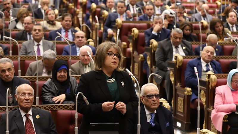 وكيل الشيوخ النائبة