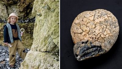 بسبب هواية غريبة، طفل يعثر على حفرية عمرها 100 مليون عام (فيديو)