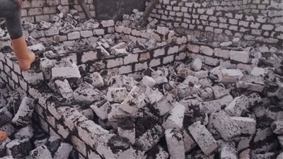 إزالة فورية لحالة بناء 21 مقبرة مخالفة بالإسكندرية