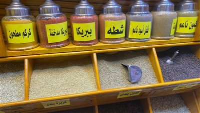 أسعار التوابل والبهارات تشعل الأسواق قبل شهر رمضان.. توقعات بارتفاع 15% خلال الفترة المقبلة بسبب الدولار.. وكيلو الكمون يصل إلى 450 جنيها