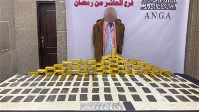 ضبط 345 طربة لمخدر الحشيش بحوزة عاطل بالشرقية بـ 2,5 مليون جنيه