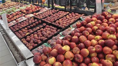 أسعار الفاكهة اليوم، ارتفاع سعر التفاح في سوق العبور