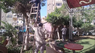 في الاحتفال بعيدها القومي، رفع 720 طن قمامة من شوارع المنصورة