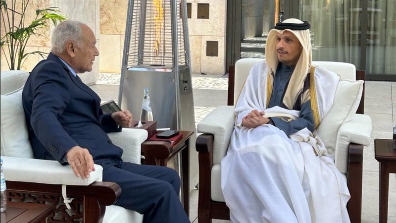أبو الغيط ورئيس الوزراء