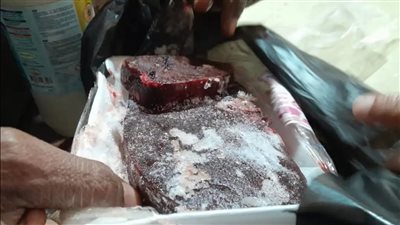 حملات تفتيش على أماكن تداول اللحوم ومنتجاتها بإدارة الزينية بمحافظة الأقصر 