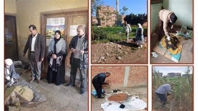  زراعة الشرقية: تنفيذ حملة لتحسين إنتاجية محصول القمح 