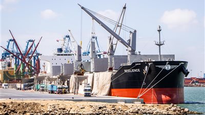 130 ألف طن رصيد صومعة القمح للقطاع الخاص بميناء دمياط