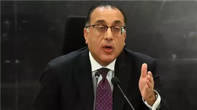 مجلس الوزراء: 10 آلاف جنيه لقنطار القطن متوسط التيلة، و12 ألفا لطويل التيلة