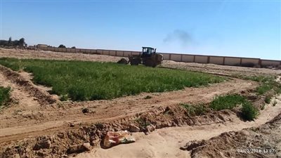 إزالة تعديات علي أملاك الدولة لأكثر من 26 فدانا بواحة الخارجة (صور) 