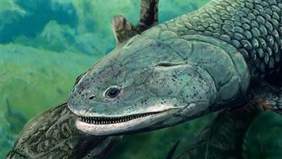 عاشت قبل ملايين السنين، اكتشاف سمكة مفترسة كانت تتنفس الهواء كالإنسان