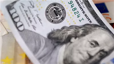 تحديد سعر صرف موحد بات ضروريا للسيطرة على الأسواق، أبرز الحلول العاجلة لتوفير العملة الخضراء وهاني جنينة يكشف لـ 