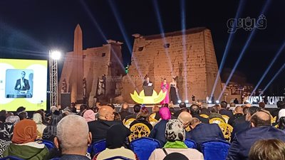 نائب محافظ الأقصر: نأمل أن يكون مهرجان السينما منصة للحوار بين الشعوب الأفريقية (فيديو)