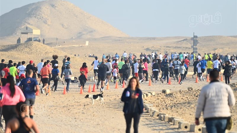 ماراثون سقارة، فيتو