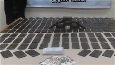 القبض على 10 تجار مخدرات خلال حملة أمنية بالقليوبية