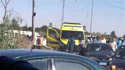 مصرع مدرس وإصابة 3 أشخاص آخرين فى حادث سقوط نخلة على سيارة بالمنيا