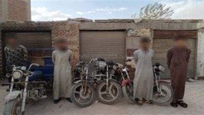 سقوط 5 تشكيلات عصابية لارتكاب سرقات متنوعة بجنوب سيناء والجيزة (صور)